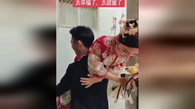 破碎的动物图形